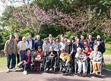 桜見学（八重岳桜祭り）